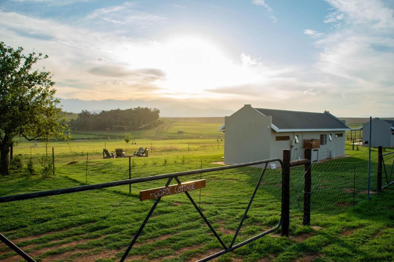 Kezlyn Farm Bergville